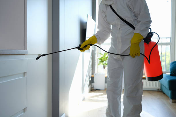 Best Residential Mold Remediation in Hoback, WY