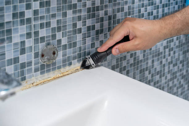 Best Health and Safety Mold Remediation in Hoback, WY