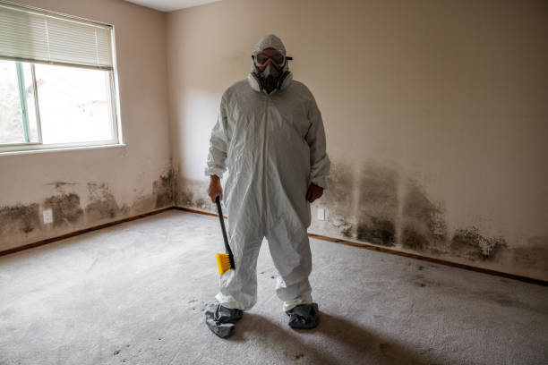 Best Industrial Mold Remediation in Hoback, WY
